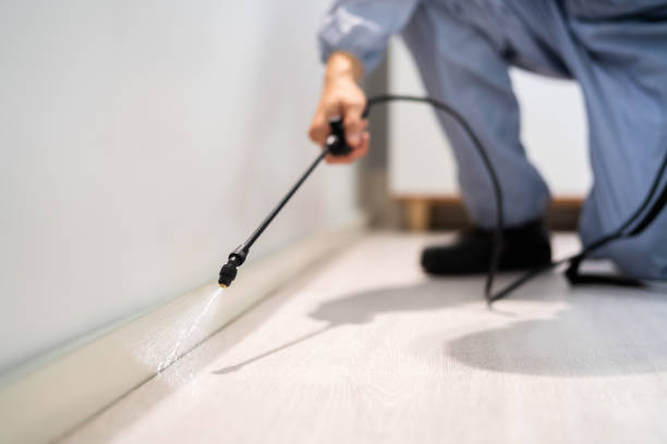 Rodent Entry Point Assessment in Lake Forest