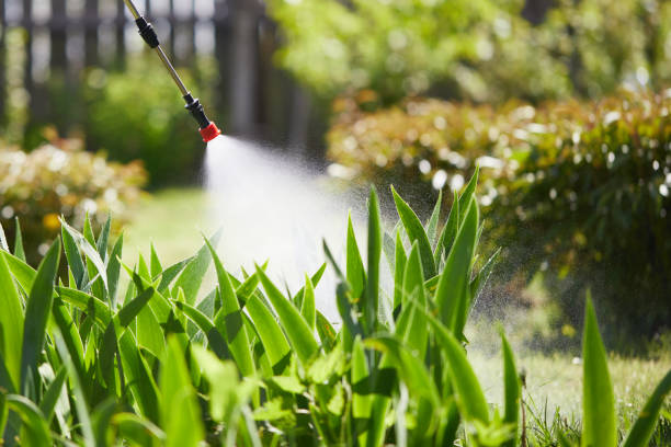 Tamper-Resistant Bait Stations for Rodents in Lake Forest