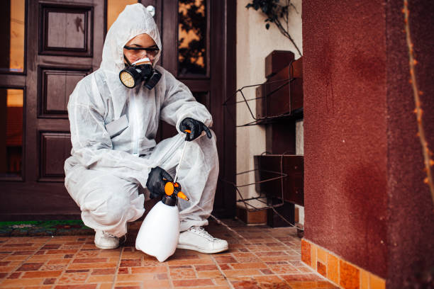 Attic and Crawl Space Rodent Treatment in Lake Forest