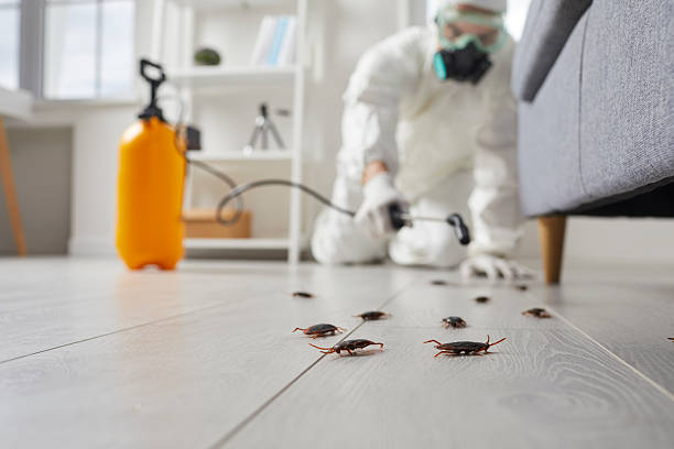 Commercial Rodent Management in Lake Forest